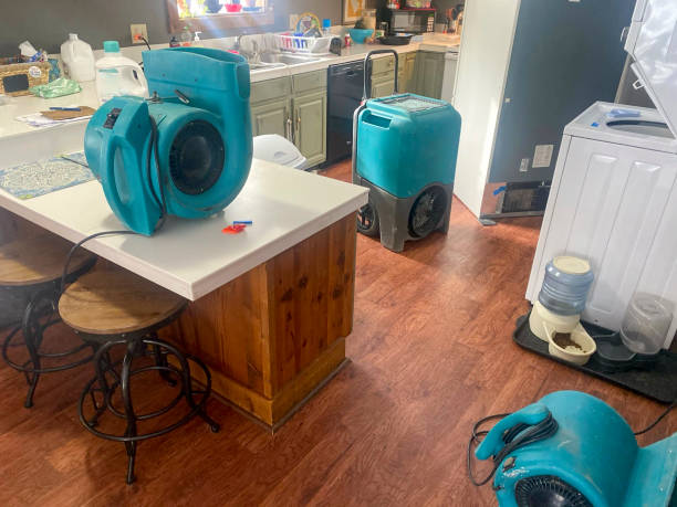 Best Residential water damage restoration  in Makakilo, HI