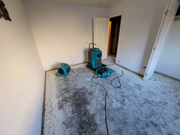 Best Flood restoration services  in Makakilo, HI