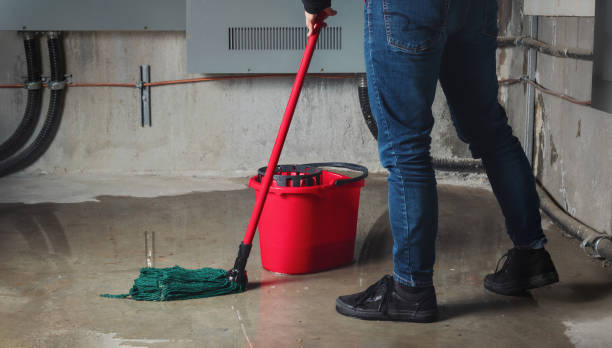 Best Water damage cleanup near me  in Makakilo, HI
