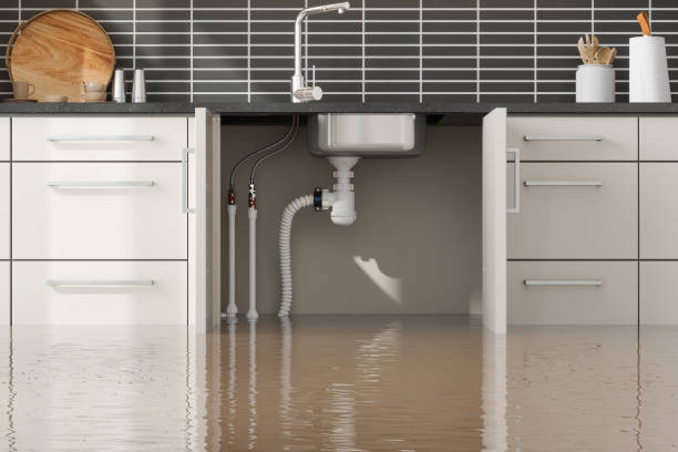 Best Flood damage cleanup  in Makakilo, HI