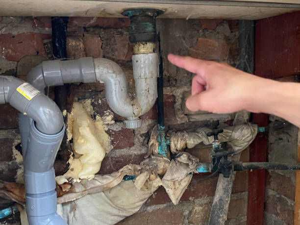 Best Water damage contractors near me  in Makakilo, HI